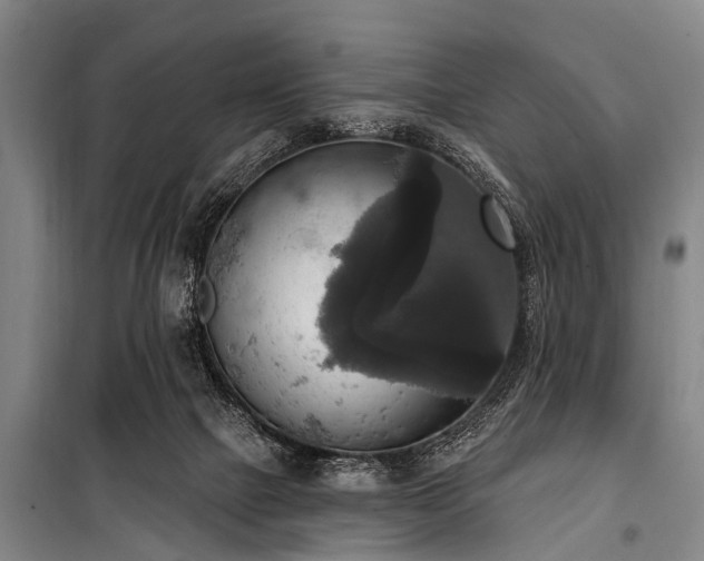 X0000101150073200806270953