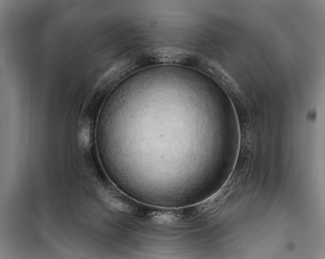 X0000101150074200806270953