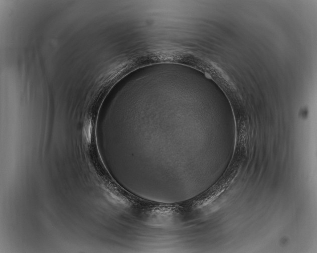 X0000101150076200806270953