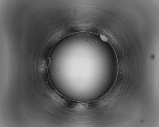 X0000101150077200806270953