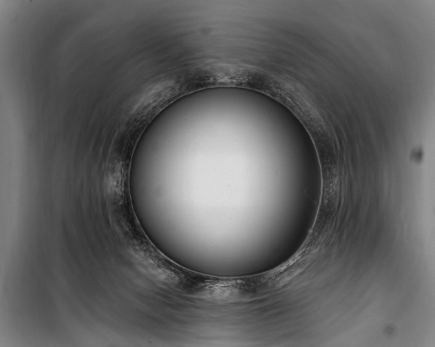 X0000101150078200806270953