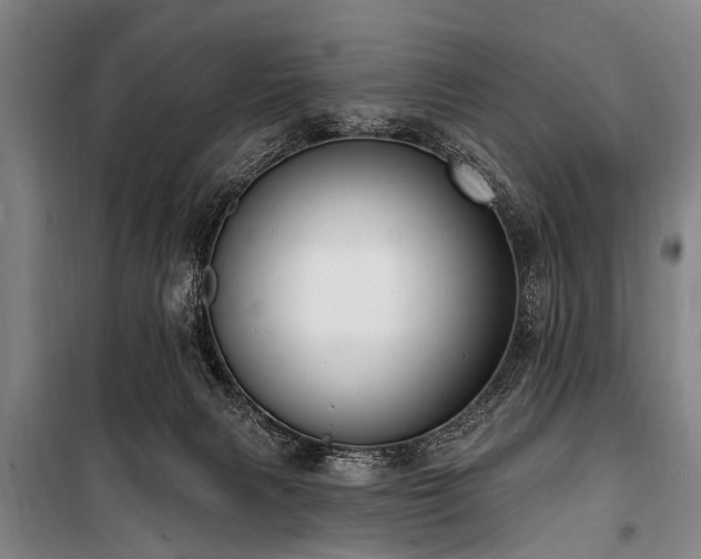 X0000101150079200806270953