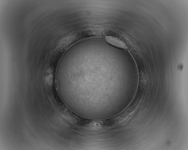 X0000101150080200806270953