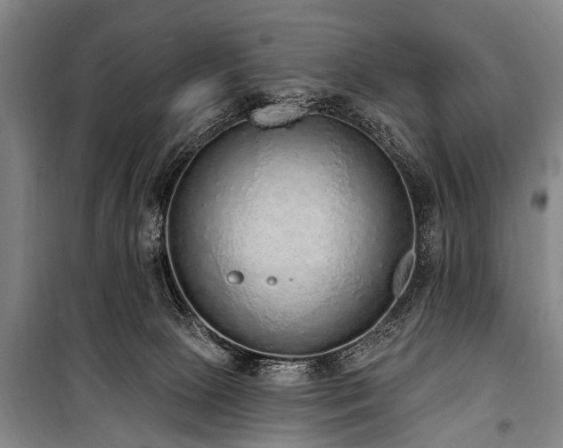 X0000101150081200806270953