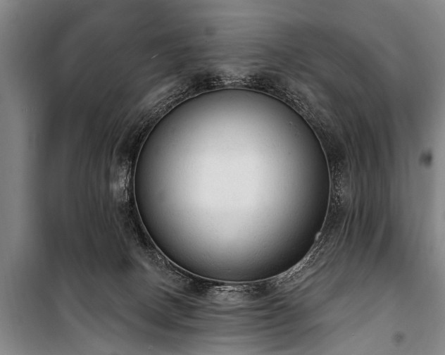 X0000101150082200806270953