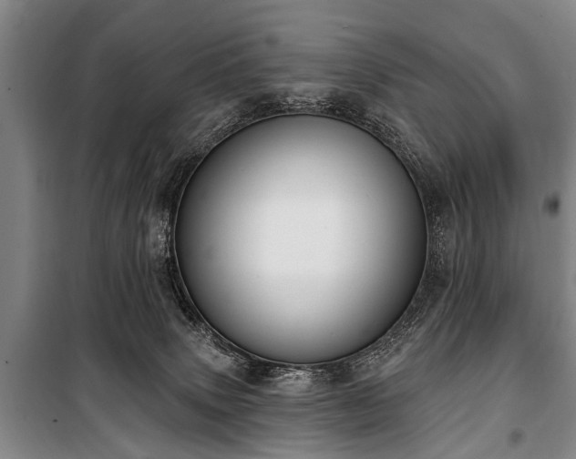 X0000101150083200806270953