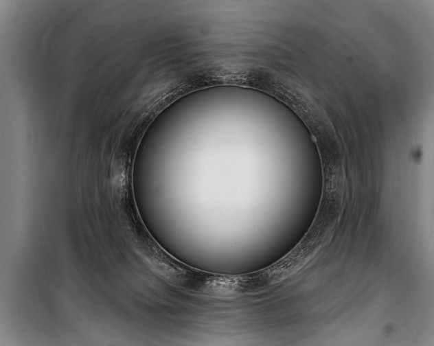 X0000101150084200806270953