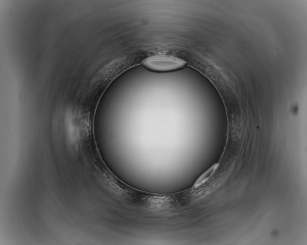 X0000101150085200806270953