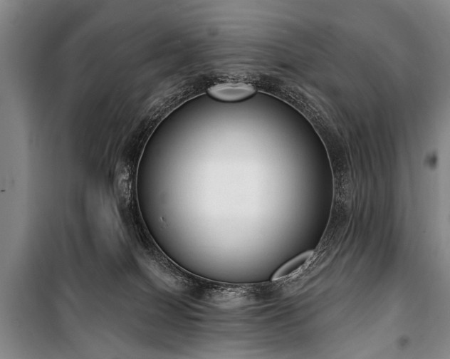 X0000101150086200806270953