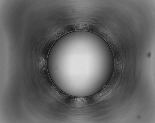 X0000101150087200806270953