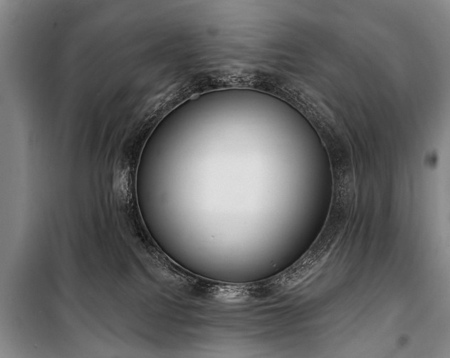 X0000101150088200806270953