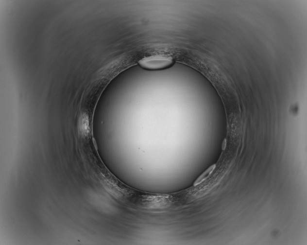 X0000101150089200806270953