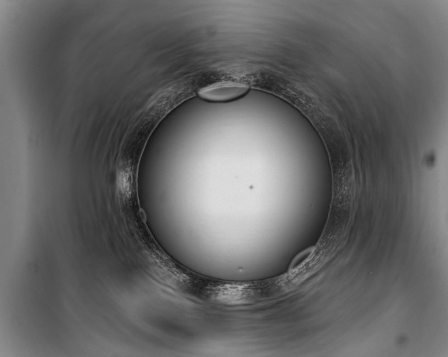 X0000101150090200806270953