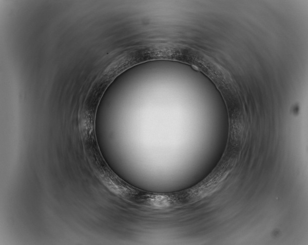 X0000101150091200806270953