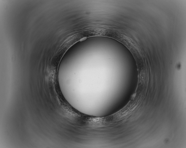 X0000101150092200806270953