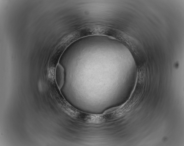 X0000101150093200806270953