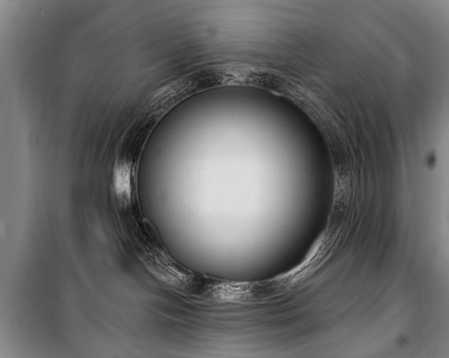 X0000101150094200806270953