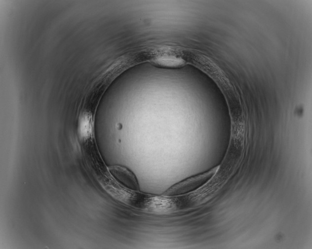 X0000101150095200806270953