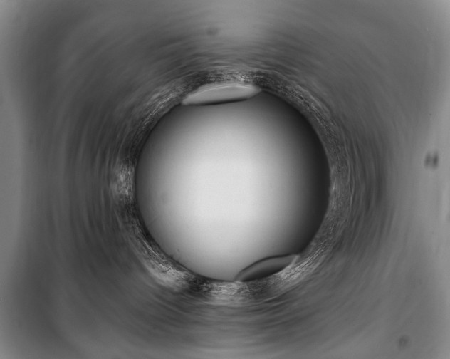 X0000101150096200806270953