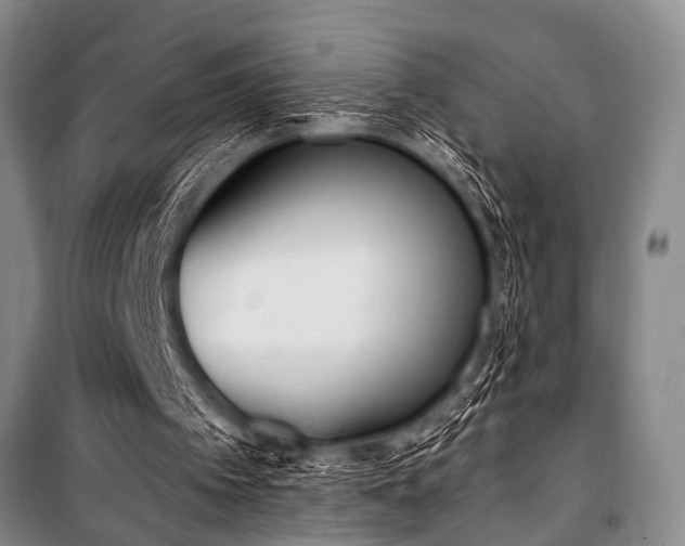 X0000101150097200806270952