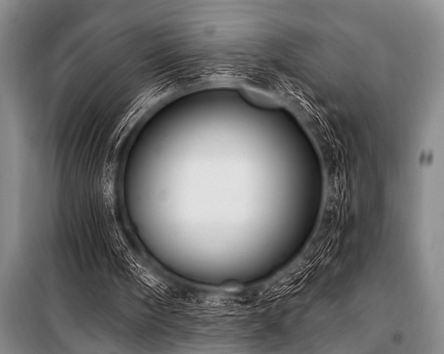 X0000101150098200806270952