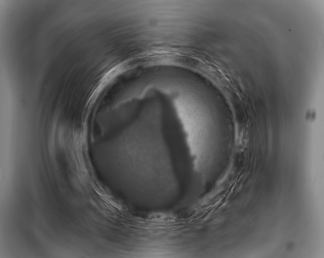 X0000101150099200806270952