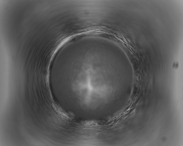 X0000101150100200806270952