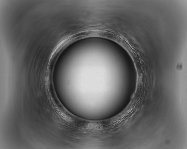 X0000101150101200806270952