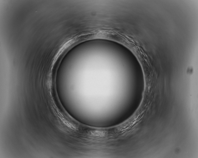 X0000101150102200806270952