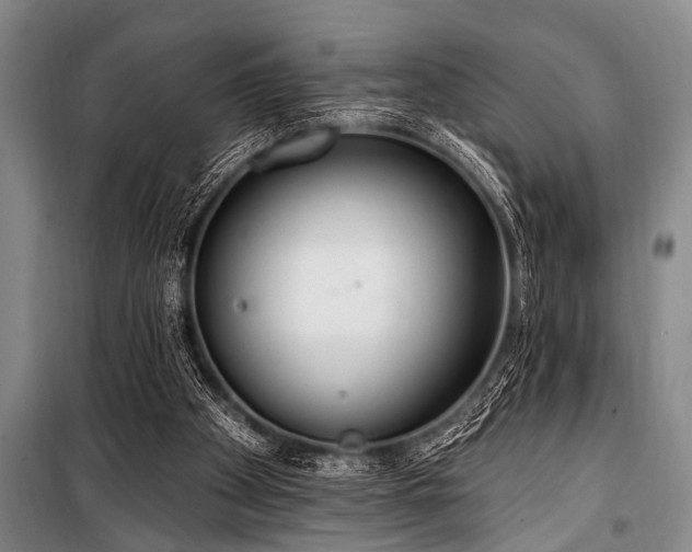 X0000101150105200806270952