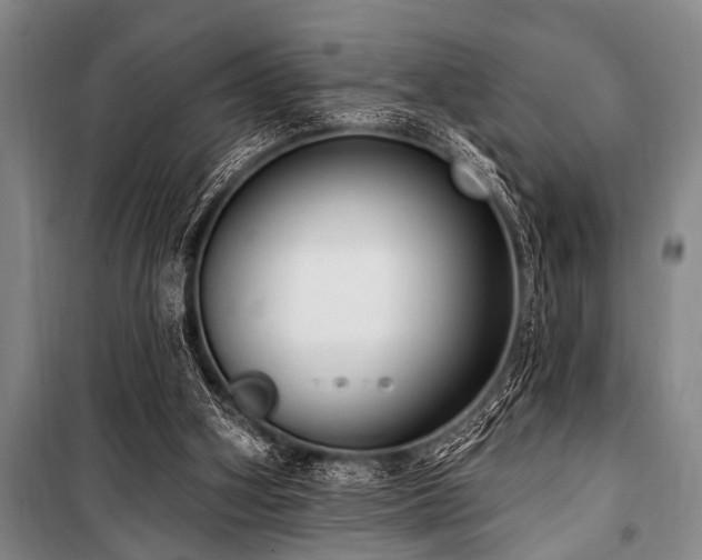 X0000101150106200806270952