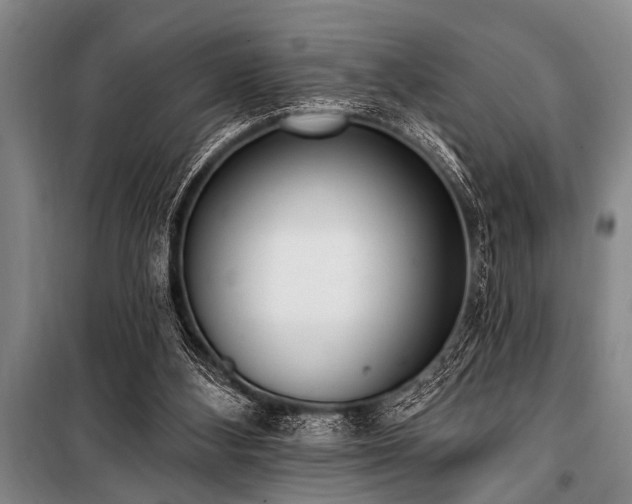 X0000101150108200806270952