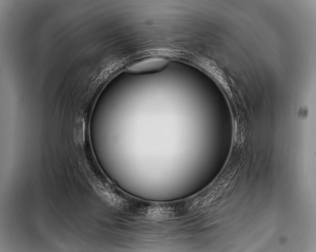 X0000101150109200806270952