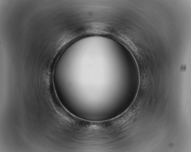 X0000101150111200806270952