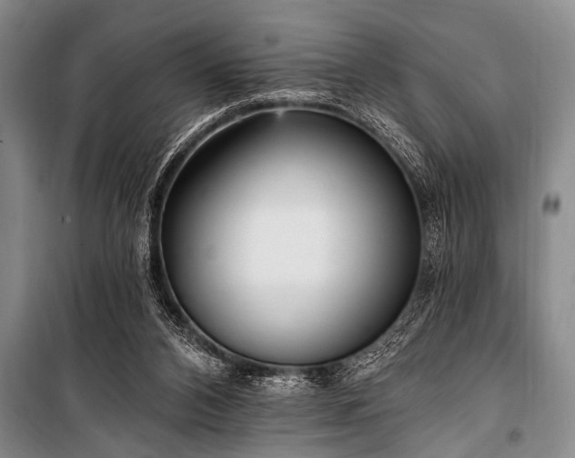 X0000101150112200806270952