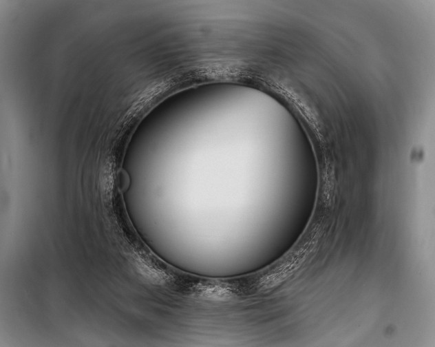 X0000101150113200806270952