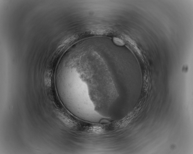 X0000101150114200806270952