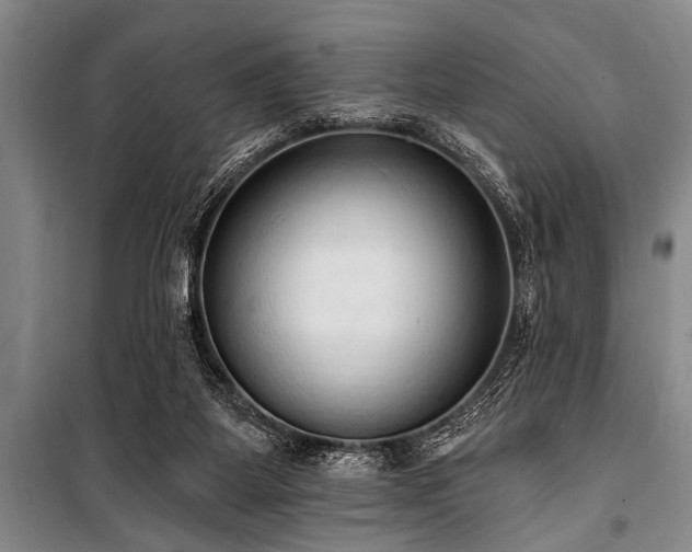 X0000101150115200806270952