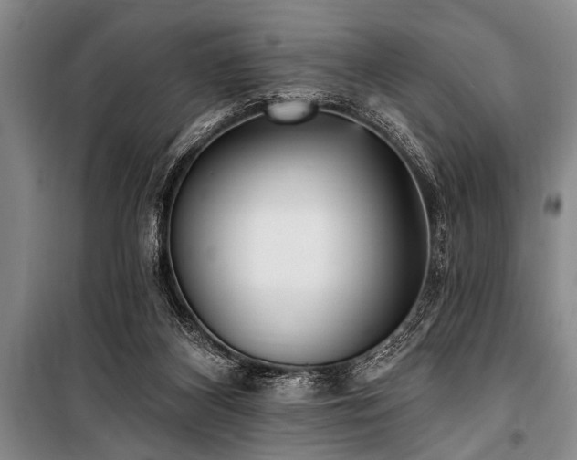 X0000101150116200806270952