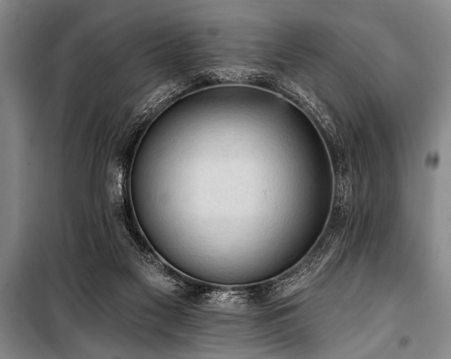 X0000101150117200806270952