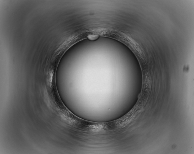 X0000101150118200806270952