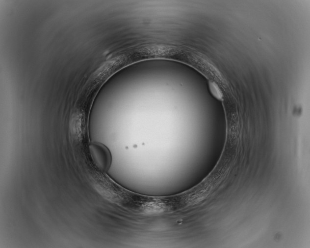 X0000101150119200806270952