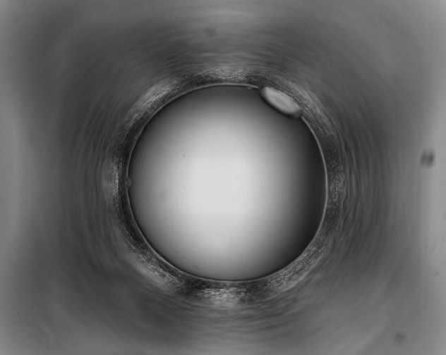 X0000101150120200806270952