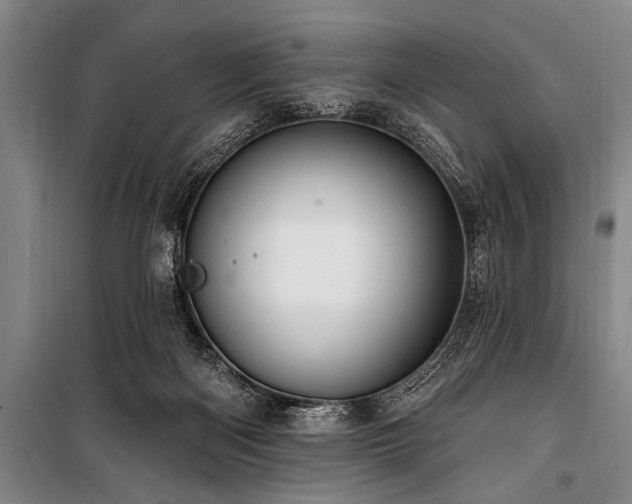 X0000101150122200806270952