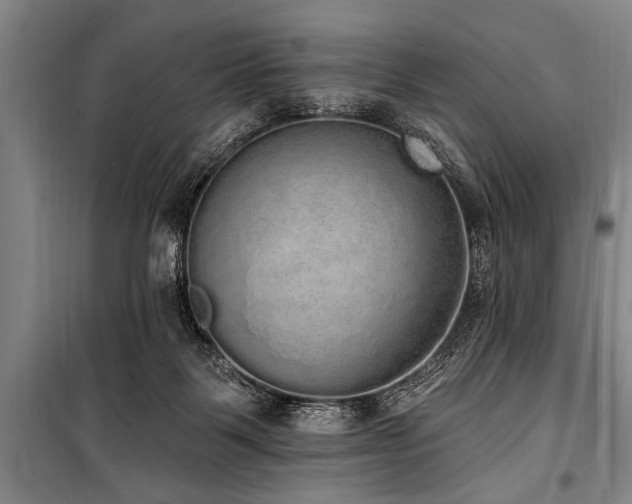 X0000101150123200806270952