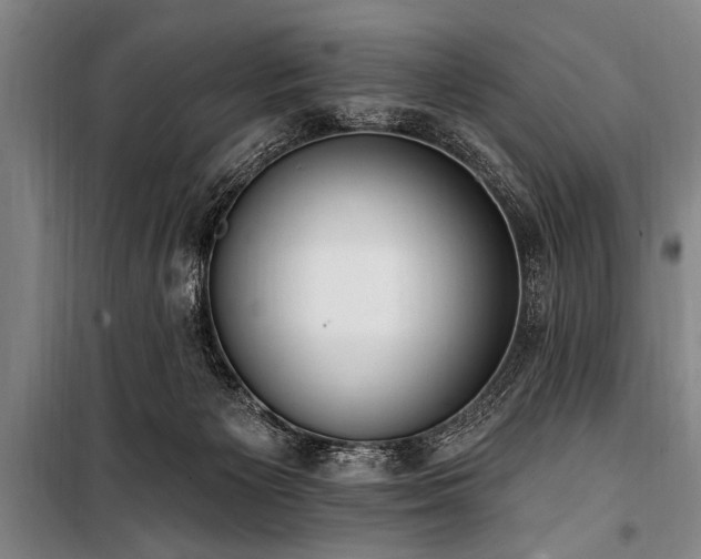 X0000101150125200806270952