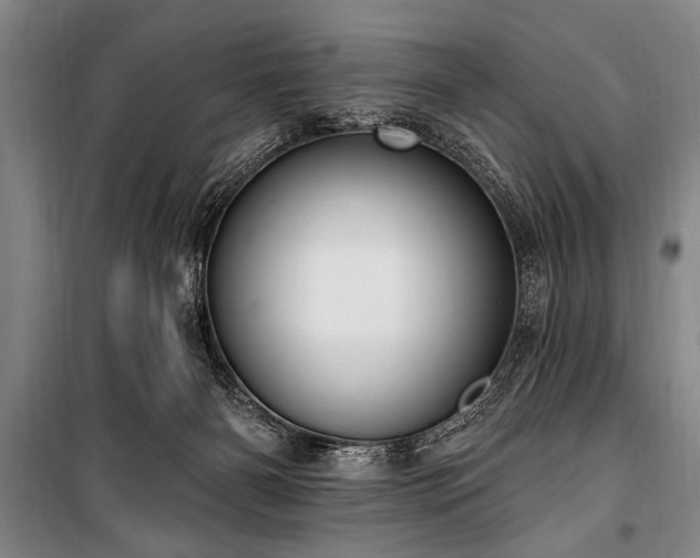 X0000101150126200806270952