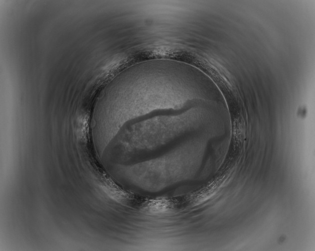 X0000101150127200806270952