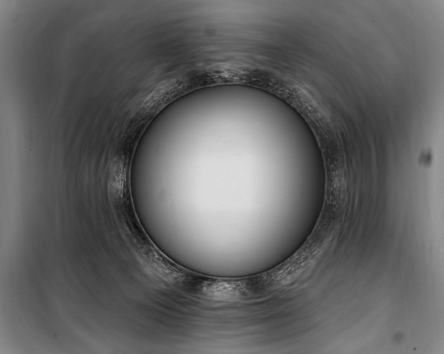 X0000101150129200806270952