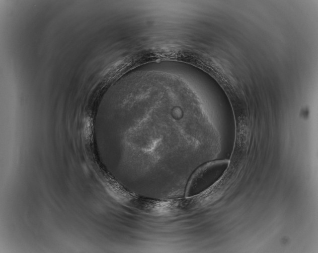 X0000101150130200806270952